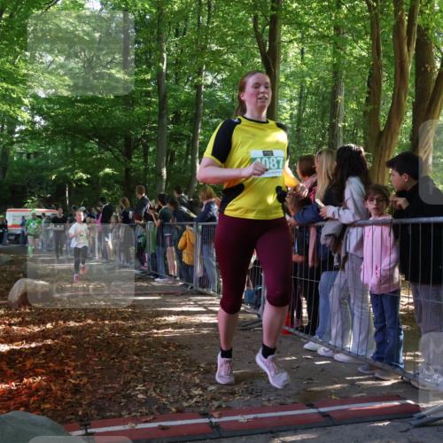 28.09.2025 - 33. Volkslauf durch das schöne Alstertal Strokosch-Dieckow http://msf.ph/oto/8962323 28.09.2025 10:57:39 Ziel 4087, 4088, 4103, 4119, 4920 meine-sportfotos.de