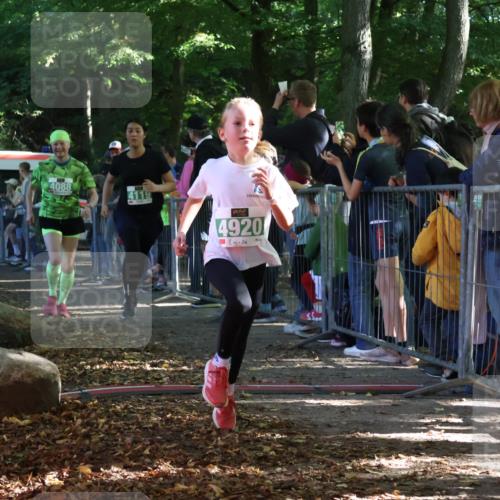 28.09.2025 - 33. Volkslauf durch das schöne Alstertal Strokosch-Dieckow http://msf.ph/oto/8962331 28.09.2025 10:57:40 Ziel 4088, 4103, 4119, 4920 meine-sportfotos.de