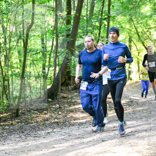 28.09.2025 - 33. Volkslauf durch das schöne Alstertal Dr. Thomas Lammeyer http://msf.ph/oto/8962333 28.09.2025 11:10:48 Laufen 199, 98, 374 meine-sportfotos.de