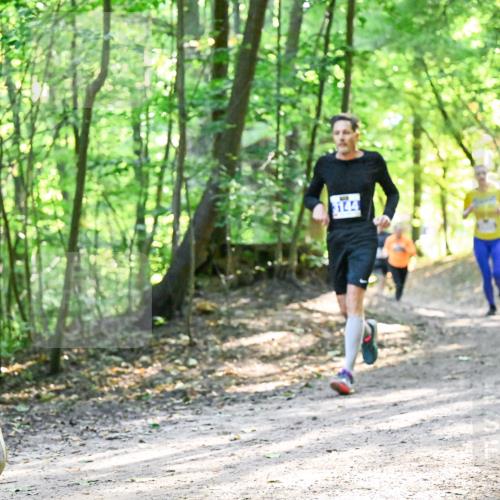 28.09.2025 - 33. Volkslauf durch das schöne Alstertal Dr. Thomas Lammeyer http://msf.ph/oto/8962338 28.09.2025 11:10:50 Laufen 3144 meine-sportfotos.de
