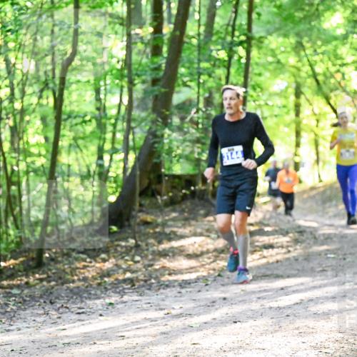 28.09.2025 - 33. Volkslauf durch das schöne Alstertal Dr. Thomas Lammeyer http://msf.ph/oto/8962339 28.09.2025 11:10:50 Laufen 3144 meine-sportfotos.de