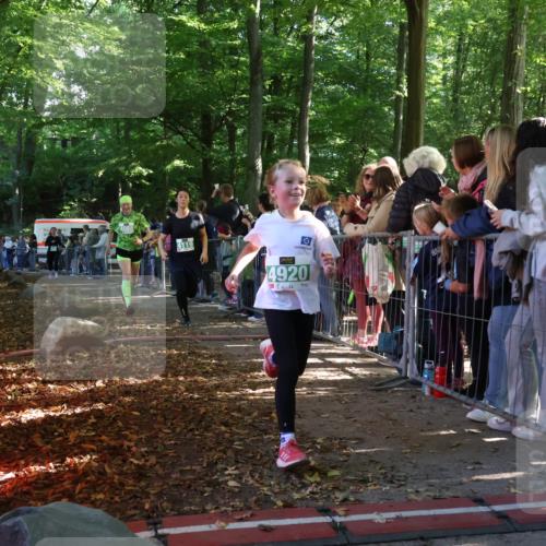 28.09.2025 - 33. Volkslauf durch das schöne Alstertal Strokosch-Dieckow http://msf.ph/oto/8962340 28.09.2025 10:57:40 Ziel 4088, 4103, 4119, 4920 meine-sportfotos.de