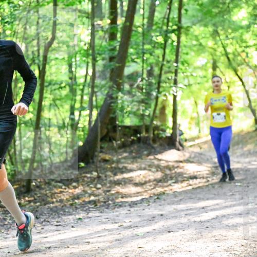 28.09.2025 - 33. Volkslauf durch das schöne Alstertal Dr. Thomas Lammeyer http://msf.ph/oto/8962349 28.09.2025 11:10:51 Laufen 3144, 1975 meine-sportfotos.de