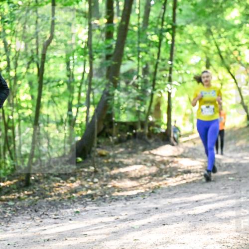28.09.2025 - 33. Volkslauf durch das schöne Alstertal Dr. Thomas Lammeyer http://msf.ph/oto/8962350 28.09.2025 11:10:51 Laufen 3144 meine-sportfotos.de