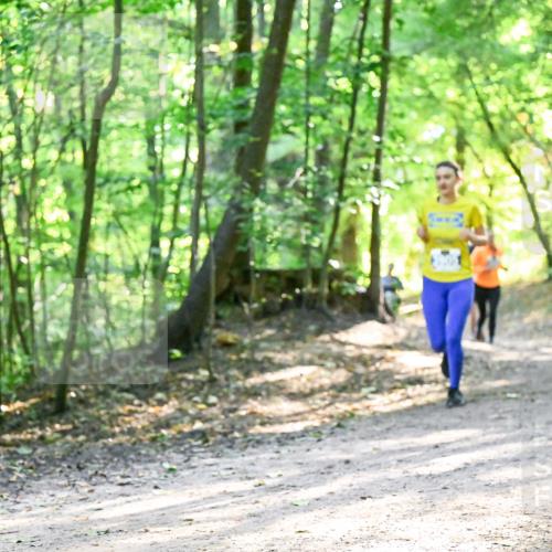 28.09.2025 - 33. Volkslauf durch das schöne Alstertal Dr. Thomas Lammeyer http://msf.ph/oto/8962351 28.09.2025 11:10:52 Laufen  meine-sportfotos.de