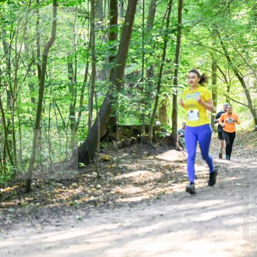 28.09.2025 - 33. Volkslauf durch das schöne Alstertal Dr. Thomas Lammeyer http://msf.ph/oto/8962352 28.09.2025 11:10:52 Laufen  meine-sportfotos.de