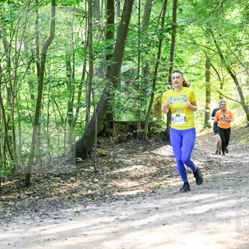 28.09.2025 - 33. Volkslauf durch das schöne Alstertal Dr. Thomas Lammeyer http://msf.ph/oto/8962353 28.09.2025 11:10:52 Laufen 3905, 3236 meine-sportfotos.de