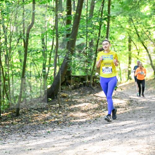 28.09.2025 - 33. Volkslauf durch das schöne Alstertal Dr. Thomas Lammeyer http://msf.ph/oto/8962355 28.09.2025 11:10:52 Laufen 3905 meine-sportfotos.de