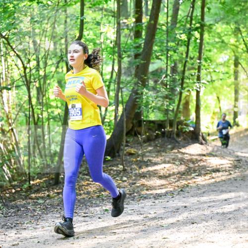 28.09.2025 - 33. Volkslauf durch das schöne Alstertal Dr. Thomas Lammeyer http://msf.ph/oto/8962356 28.09.2025 11:10:53 Laufen 3905 meine-sportfotos.de