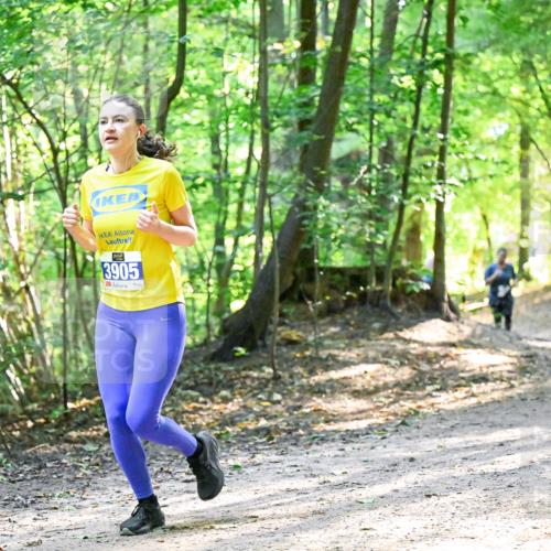 28.09.2025 - 33. Volkslauf durch das schöne Alstertal Dr. Thomas Lammeyer http://msf.ph/oto/8962357 28.09.2025 11:10:53 Laufen 3905 meine-sportfotos.de