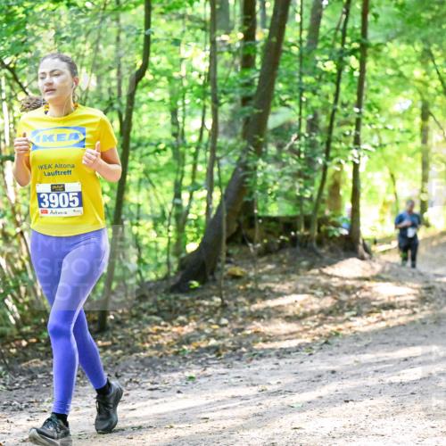 28.09.2025 - 33. Volkslauf durch das schöne Alstertal Dr. Thomas Lammeyer http://msf.ph/oto/8962358 28.09.2025 11:10:53 Laufen 3905 meine-sportfotos.de