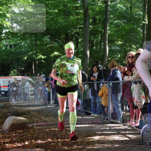 28.09.2025 - 33. Volkslauf durch das schöne Alstertal Strokosch-Dieckow http://msf.ph/oto/8962359 28.09.2025 10:57:42 Ziel 4088, 4103, 4119 meine-sportfotos.de