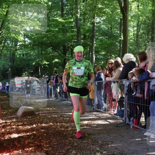 28.09.2025 - 33. Volkslauf durch das schöne Alstertal Strokosch-Dieckow http://msf.ph/oto/8962366 28.09.2025 10:57:42 Ziel 4088, 4103, 4119 meine-sportfotos.de