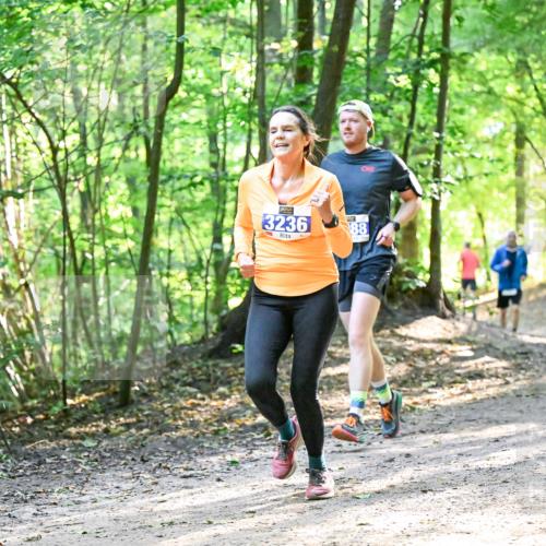 28.09.2025 - 33. Volkslauf durch das schöne Alstertal Dr. Thomas Lammeyer http://msf.ph/oto/8962368 28.09.2025 11:10:57 Laufen 3236, 88 meine-sportfotos.de
