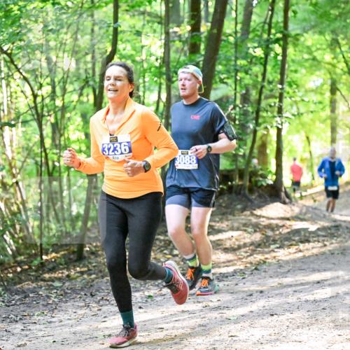 28.09.2025 - 33. Volkslauf durch das schöne Alstertal Dr. Thomas Lammeyer http://msf.ph/oto/8962370 28.09.2025 11:10:57 Laufen 3236, 3088 meine-sportfotos.de