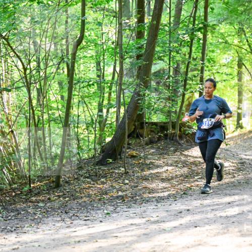 28.09.2025 - 33. Volkslauf durch das schöne Alstertal Dr. Thomas Lammeyer http://msf.ph/oto/8962378 28.09.2025 11:10:59 Laufen 3157 meine-sportfotos.de
