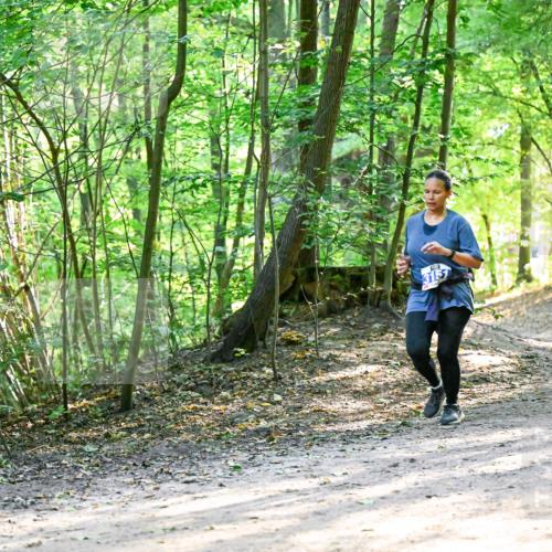 28.09.2025 - 33. Volkslauf durch das schöne Alstertal Dr. Thomas Lammeyer http://msf.ph/oto/8962379 28.09.2025 11:10:59 Laufen  meine-sportfotos.de