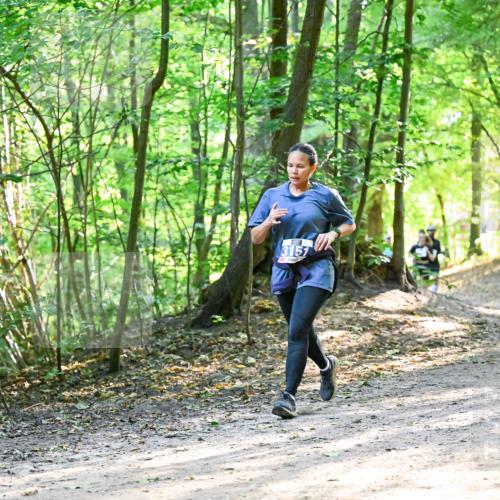 28.09.2025 - 33. Volkslauf durch das schöne Alstertal Dr. Thomas Lammeyer http://msf.ph/oto/8962384 28.09.2025 11:11:00 Laufen 3157 meine-sportfotos.de