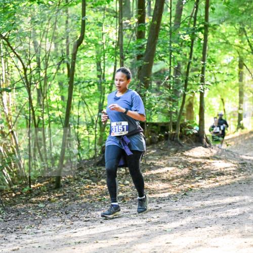 28.09.2025 - 33. Volkslauf durch das schöne Alstertal Dr. Thomas Lammeyer http://msf.ph/oto/8962387 28.09.2025 11:11:00 Laufen 3151 meine-sportfotos.de