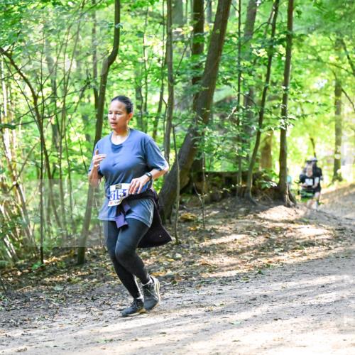 28.09.2025 - 33. Volkslauf durch das schöne Alstertal Dr. Thomas Lammeyer http://msf.ph/oto/8962389 28.09.2025 11:11:00 Laufen 3157 meine-sportfotos.de
