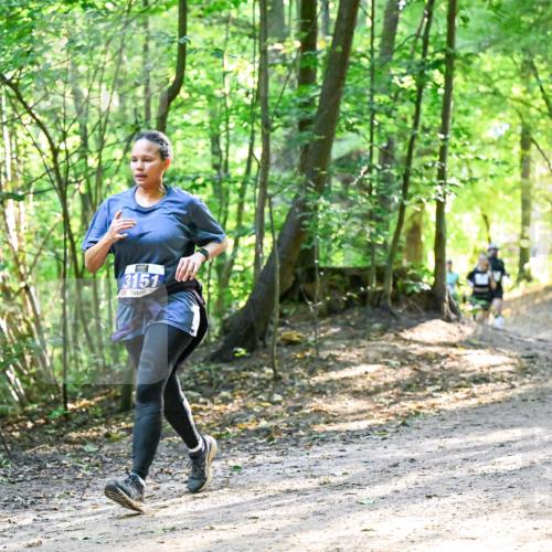 28.09.2025 - 33. Volkslauf durch das schöne Alstertal Dr. Thomas Lammeyer http://msf.ph/oto/8962390 28.09.2025 11:11:01 Laufen 3151 meine-sportfotos.de