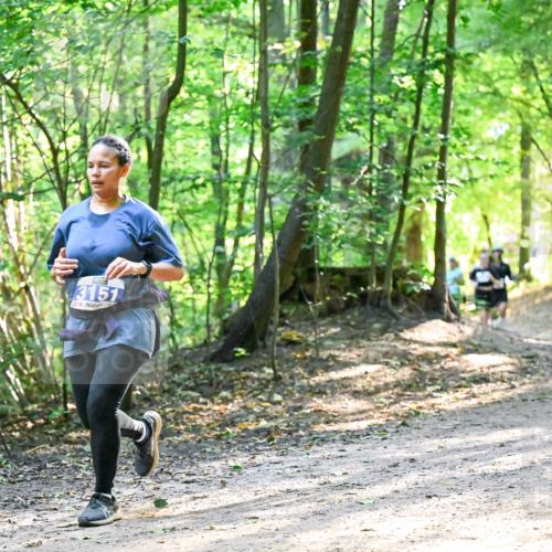 28.09.2025 - 33. Volkslauf durch das schöne Alstertal Dr. Thomas Lammeyer http://msf.ph/oto/8962392 28.09.2025 11:11:01 Laufen 3151 meine-sportfotos.de