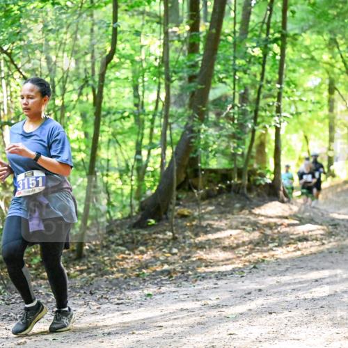 28.09.2025 - 33. Volkslauf durch das schöne Alstertal Dr. Thomas Lammeyer http://msf.ph/oto/8962393 28.09.2025 11:11:01 Laufen 351, 3151 meine-sportfotos.de