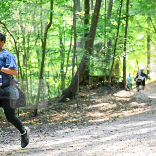 28.09.2025 - 33. Volkslauf durch das schöne Alstertal Dr. Thomas Lammeyer http://msf.ph/oto/8962394 28.09.2025 11:11:01 Laufen 3151 meine-sportfotos.de