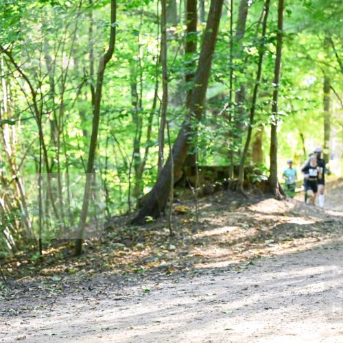 28.09.2025 - 33. Volkslauf durch das schöne Alstertal Dr. Thomas Lammeyer http://msf.ph/oto/8962396 28.09.2025 11:11:01 Laufen  meine-sportfotos.de