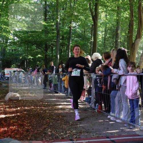 28.09.2025 - 33. Volkslauf durch das schöne Alstertal Strokosch-Dieckow http://msf.ph/oto/8962397 28.09.2025 10:57:47 Ziel 4054, 4103, 4127 meine-sportfotos.de