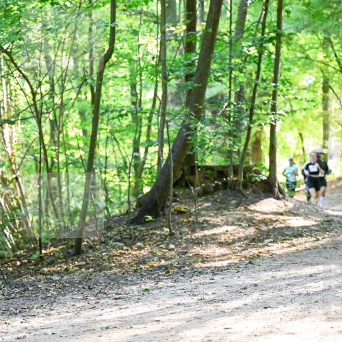 28.09.2025 - 33. Volkslauf durch das schöne Alstertal Dr. Thomas Lammeyer http://msf.ph/oto/8962398 28.09.2025 11:11:01 Laufen  meine-sportfotos.de