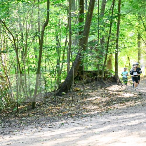 28.09.2025 - 33. Volkslauf durch das schöne Alstertal Dr. Thomas Lammeyer http://msf.ph/oto/8962399 28.09.2025 11:11:02 Laufen  meine-sportfotos.de