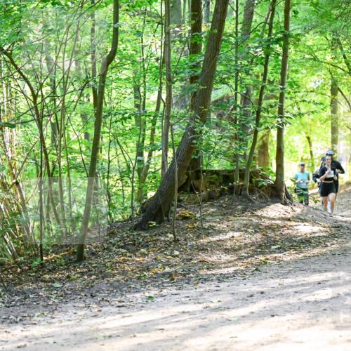 28.09.2025 - 33. Volkslauf durch das schöne Alstertal Dr. Thomas Lammeyer http://msf.ph/oto/8962400 28.09.2025 11:11:02 Laufen  meine-sportfotos.de