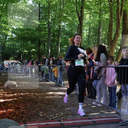 28.09.2025 - 33. Volkslauf durch das schöne Alstertal Strokosch-Dieckow http://msf.ph/oto/8962407 28.09.2025 10:57:47 Ziel 4054, 4103, 4127 meine-sportfotos.de
