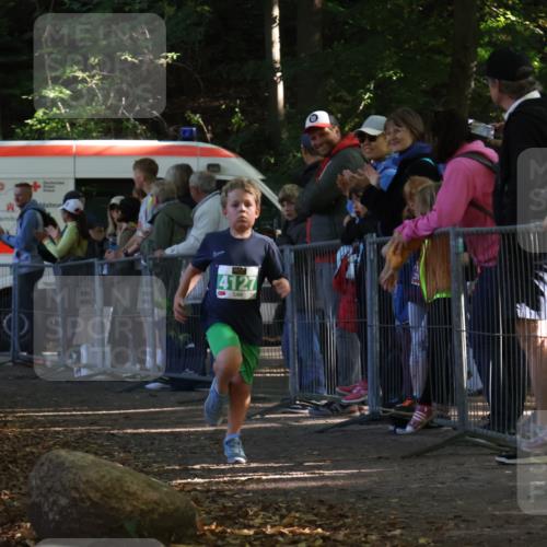 28.09.2025 - 33. Volkslauf durch das schöne Alstertal Strokosch-Dieckow http://msf.ph/oto/8962413 28.09.2025 10:57:50 Ziel 4054, 4076, 4127 meine-sportfotos.de