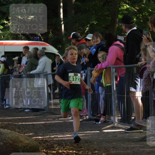28.09.2025 - 33. Volkslauf durch das schöne Alstertal Strokosch-Dieckow http://msf.ph/oto/8962418 28.09.2025 10:57:50 Ziel 4054, 4076, 4127 meine-sportfotos.de