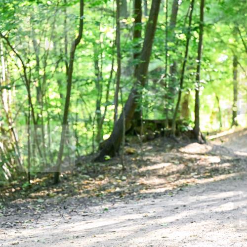 28.09.2025 - 33. Volkslauf durch das schöne Alstertal Dr. Thomas Lammeyer http://msf.ph/oto/8962428 28.09.2025 11:11:06 Laufen  meine-sportfotos.de