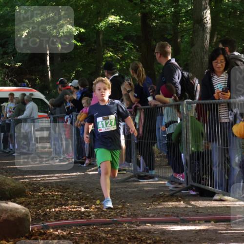 28.09.2025 - 33. Volkslauf durch das schöne Alstertal Strokosch-Dieckow http://msf.ph/oto/8962431 28.09.2025 10:57:51 Ziel 4054, 4076, 4127 meine-sportfotos.de