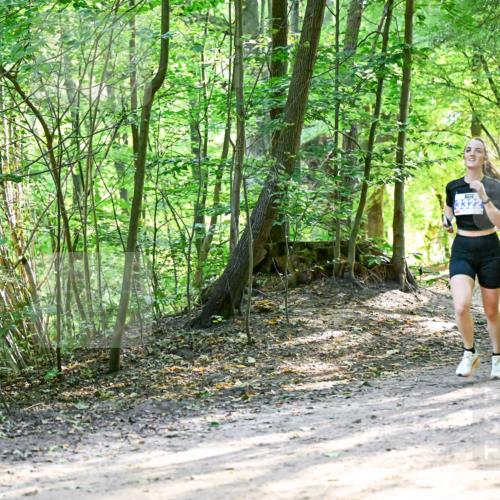 28.09.2025 - 33. Volkslauf durch das schöne Alstertal Dr. Thomas Lammeyer http://msf.ph/oto/8962433 28.09.2025 11:11:07 Laufen 3096, 3250 meine-sportfotos.de