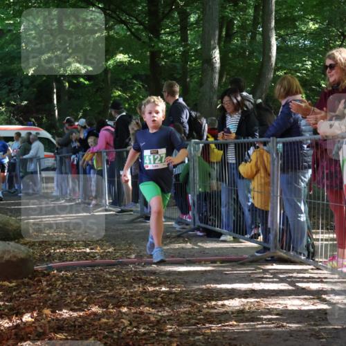 28.09.2025 - 33. Volkslauf durch das schöne Alstertal Strokosch-Dieckow http://msf.ph/oto/8962438 28.09.2025 10:57:52 Ziel 4054, 4076, 4127 meine-sportfotos.de