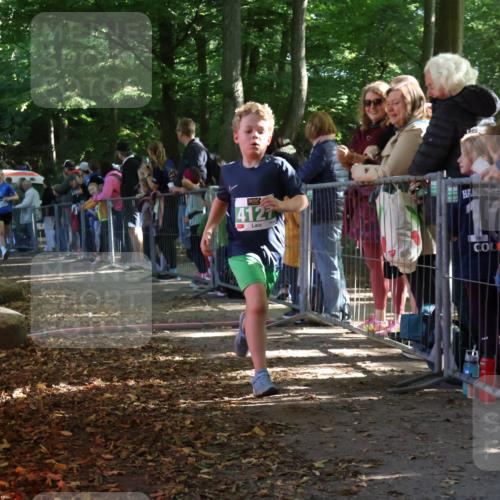 28.09.2025 - 33. Volkslauf durch das schöne Alstertal Strokosch-Dieckow http://msf.ph/oto/8962446 28.09.2025 10:57:53 Ziel 4054, 4076, 4127 meine-sportfotos.de