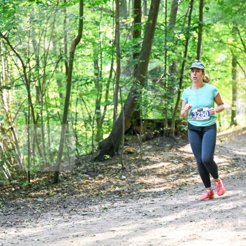 28.09.2025 - 33. Volkslauf durch das schöne Alstertal Dr. Thomas Lammeyer http://msf.ph/oto/8962450 28.09.2025 11:11:10 Laufen 13250 meine-sportfotos.de
