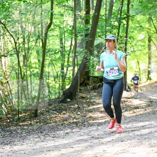 28.09.2025 - 33. Volkslauf durch das schöne Alstertal Dr. Thomas Lammeyer http://msf.ph/oto/8962452 28.09.2025 11:11:11 Laufen 3250 meine-sportfotos.de