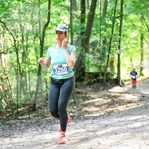 28.09.2025 - 33. Volkslauf durch das schöne Alstertal Dr. Thomas Lammeyer http://msf.ph/oto/8962459 28.09.2025 11:11:11 Laufen 3, 3250 meine-sportfotos.de