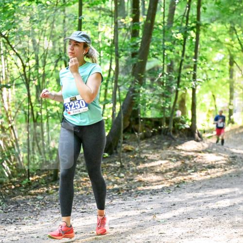 28.09.2025 - 33. Volkslauf durch das schöne Alstertal Dr. Thomas Lammeyer http://msf.ph/oto/8962460 28.09.2025 11:11:12 Laufen 3250 meine-sportfotos.de