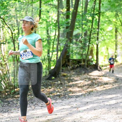 28.09.2025 - 33. Volkslauf durch das schöne Alstertal Dr. Thomas Lammeyer http://msf.ph/oto/8962461 28.09.2025 11:11:12 Laufen 3250 meine-sportfotos.de