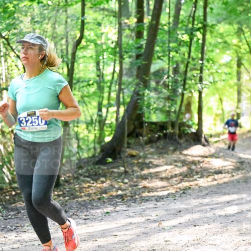 28.09.2025 - 33. Volkslauf durch das schöne Alstertal Dr. Thomas Lammeyer http://msf.ph/oto/8962463 28.09.2025 11:11:12 Laufen 3250 meine-sportfotos.de