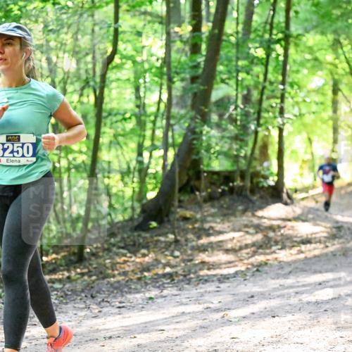 28.09.2025 - 33. Volkslauf durch das schöne Alstertal Dr. Thomas Lammeyer http://msf.ph/oto/8962464 28.09.2025 11:11:12 Laufen 3250 meine-sportfotos.de