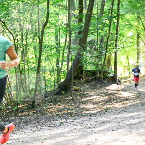 28.09.2025 - 33. Volkslauf durch das schöne Alstertal Dr. Thomas Lammeyer http://msf.ph/oto/8962465 28.09.2025 11:11:12 Laufen 3250 meine-sportfotos.de