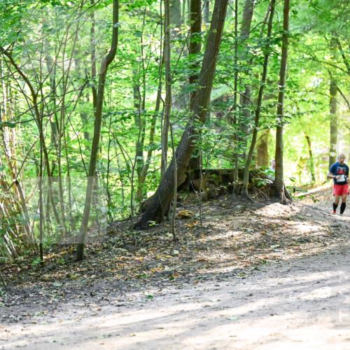 28.09.2025 - 33. Volkslauf durch das schöne Alstertal Dr. Thomas Lammeyer http://msf.ph/oto/8962466 28.09.2025 11:11:12 Laufen  meine-sportfotos.de